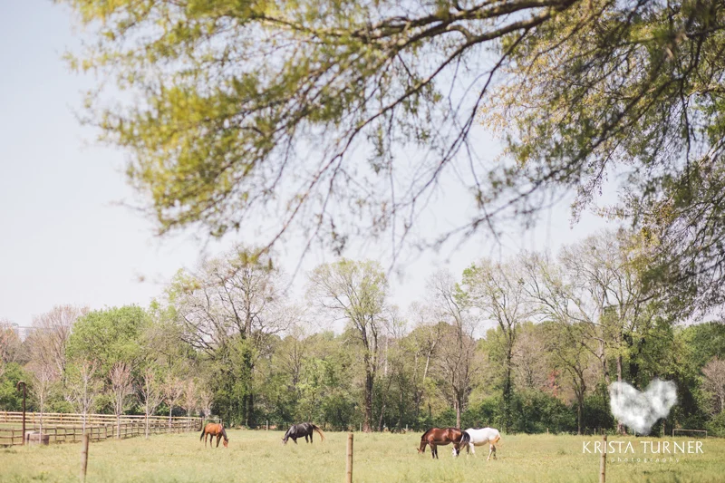 Atlanta Wedding Photographers - Krista Turner Photography - Polo Fields Wedding-41 copy