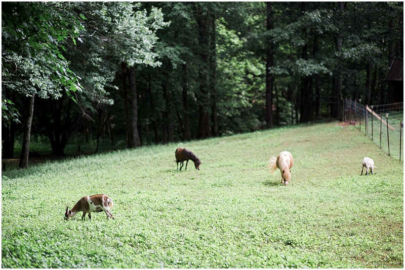 North Georgia Wedding Photographer - Krista Turner Photography - Kellum Valley Wedding Photographers (407 of 981).JPG