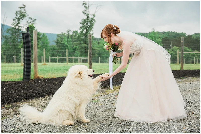 Atlanta Wedding Photographer - Krista Turner Photography_0907.jpg