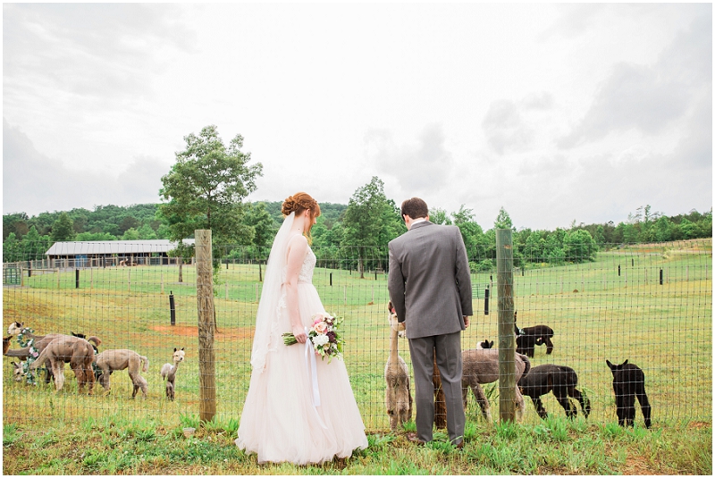 Atlanta Wedding Photographer - Krista Turner Photography_0914.jpg