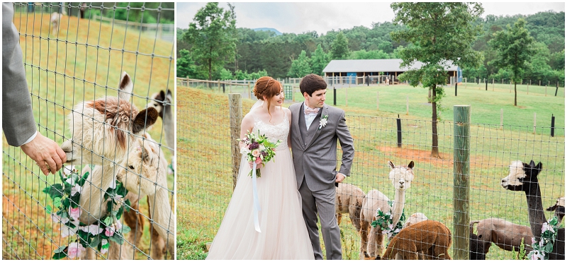 Atlanta Wedding Photographer - Krista Turner Photography_0916.jpg
