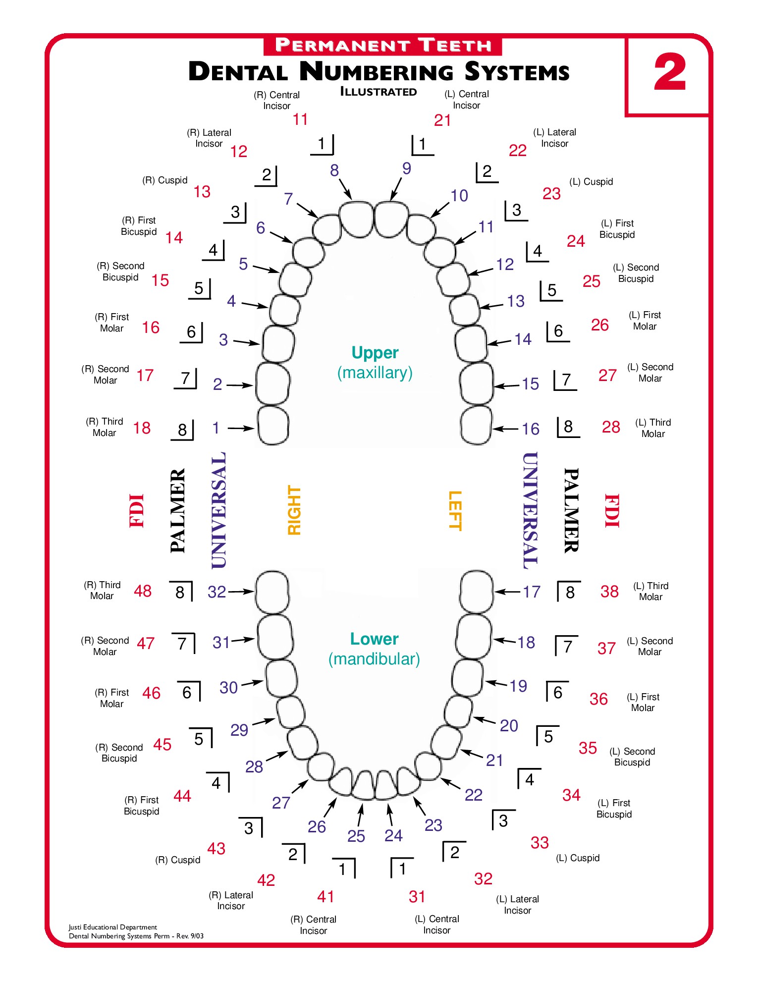 Kids Dental Chart