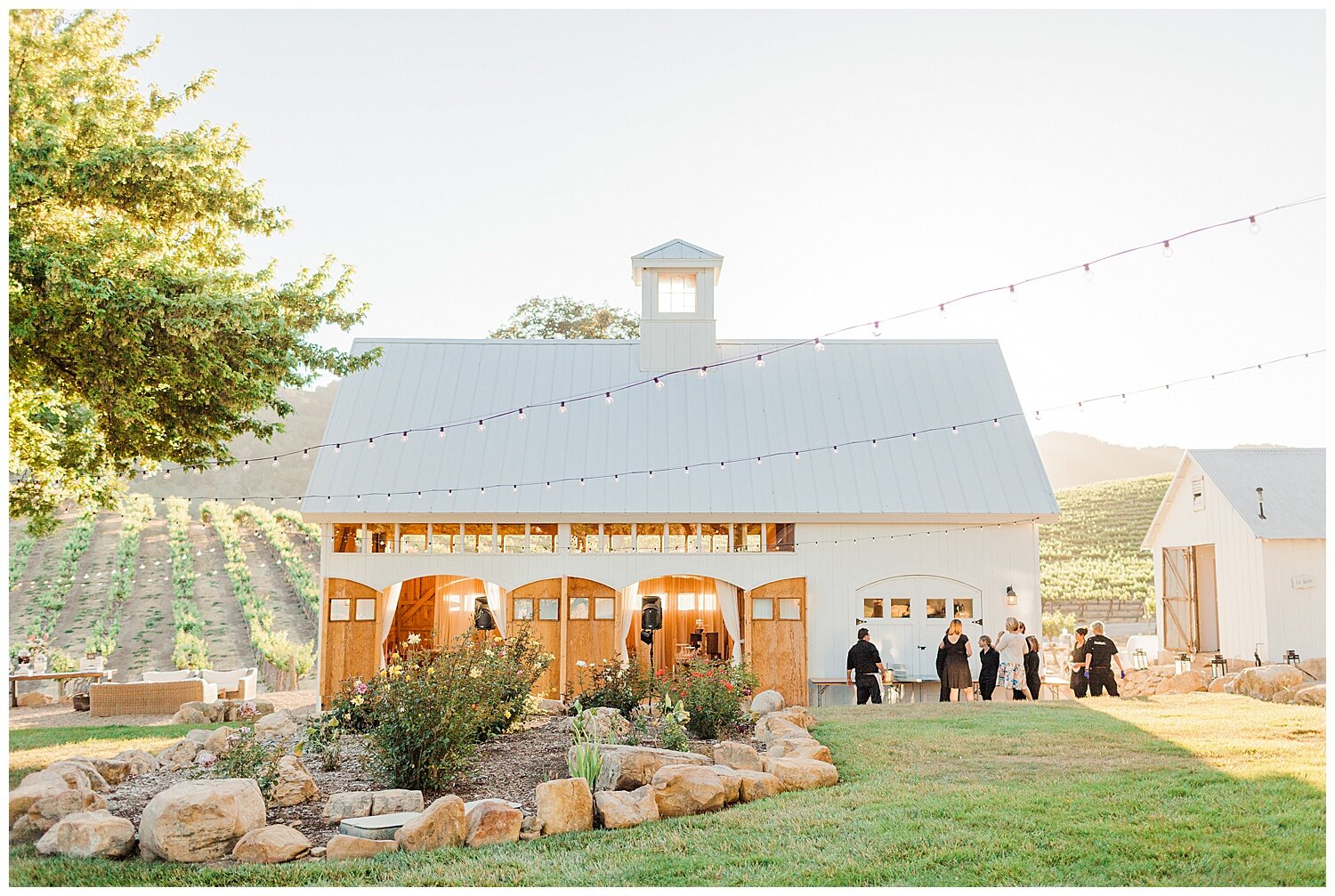 Reina and Jason's Wedding at HammerSky Vineyards | Meagan Ramirez Photography