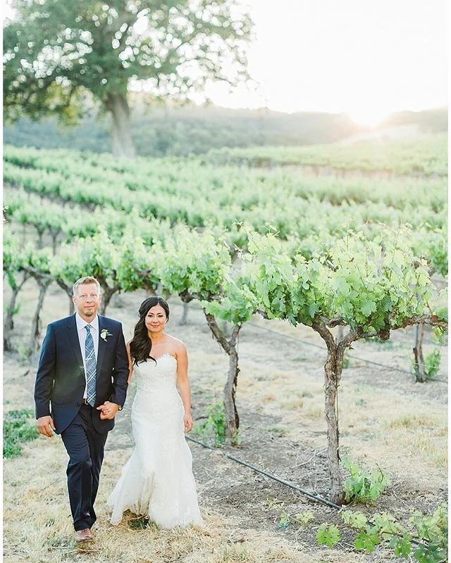 Golden stroll down the vines... no big deal California... 😍 @hammersky_vineyards @heizenpug