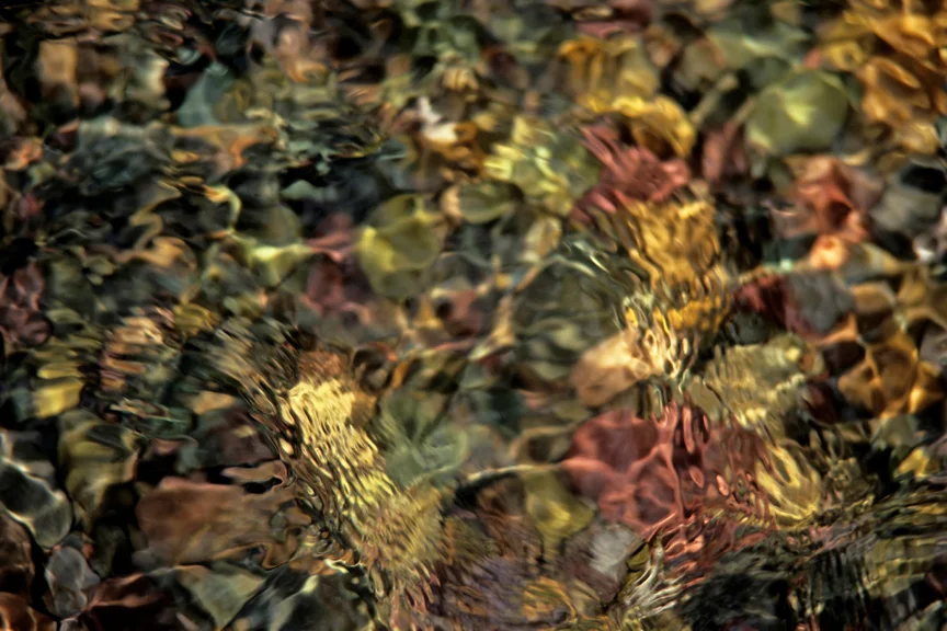 066_mutableWEB(8x12).jpg