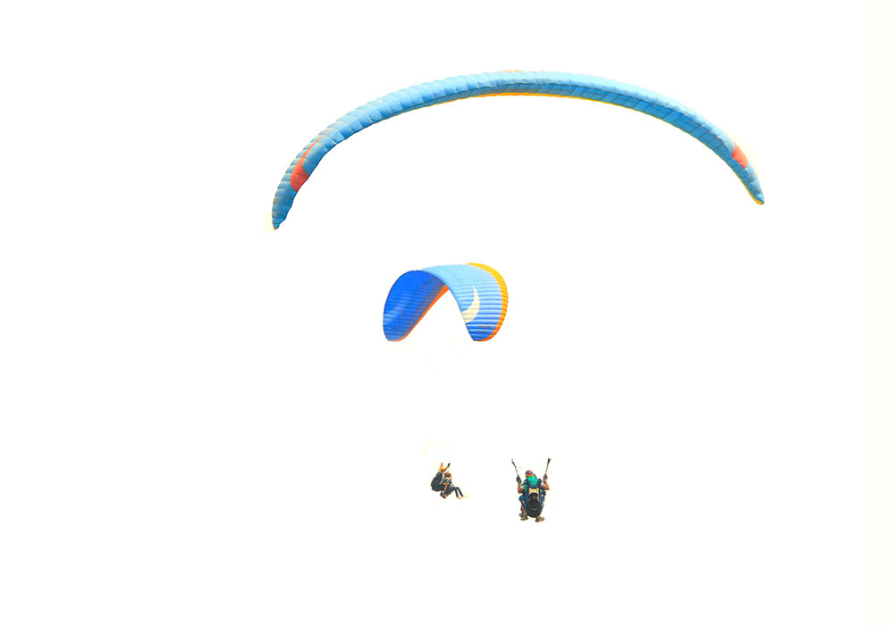 THE PARAGLIDERS