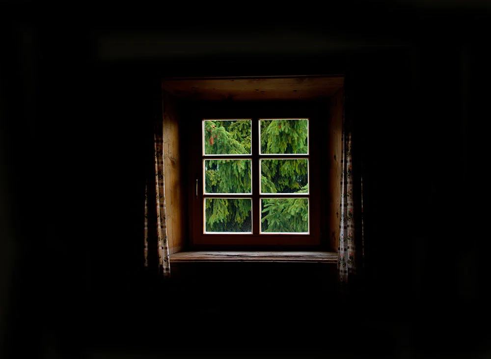 pinewindowcopy.jpg