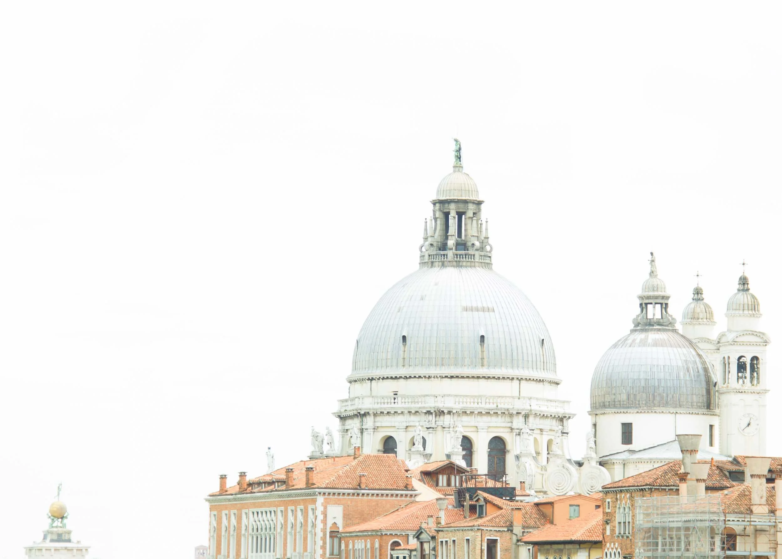 the_Skolz-venice-.jpg