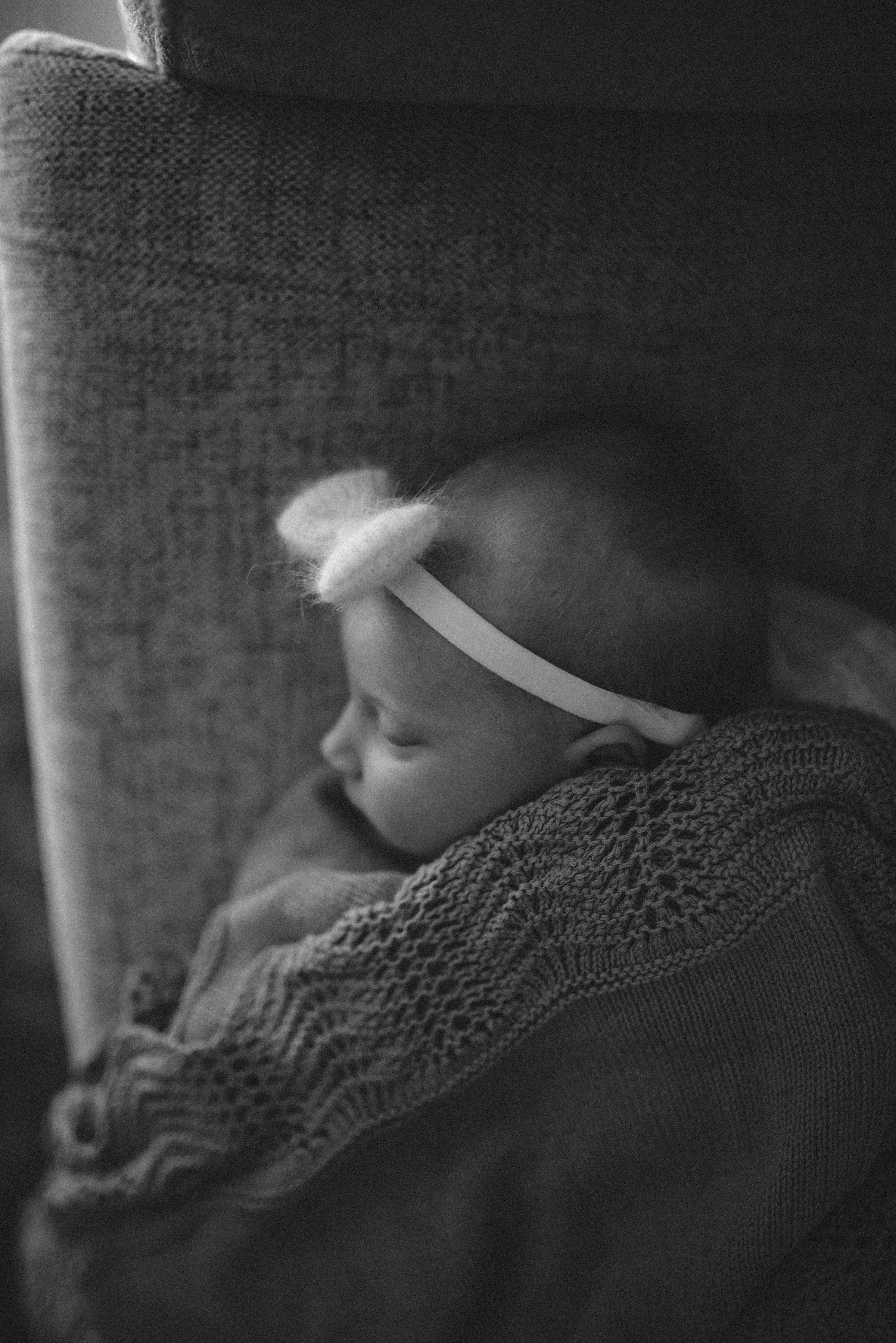 _DSC1186anne-laho-photography.jpg