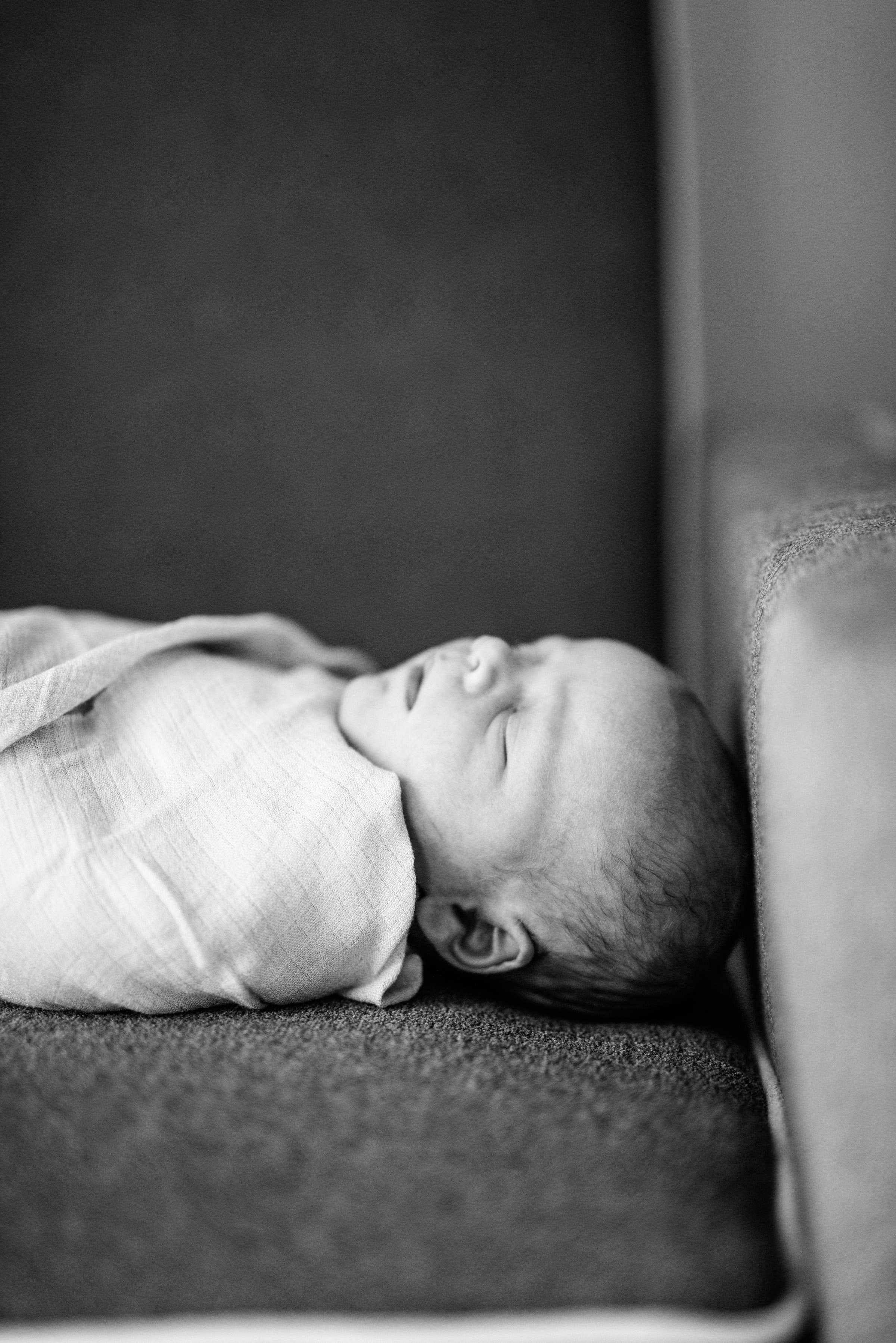 _DSC9665anne-laho-photography.jpg