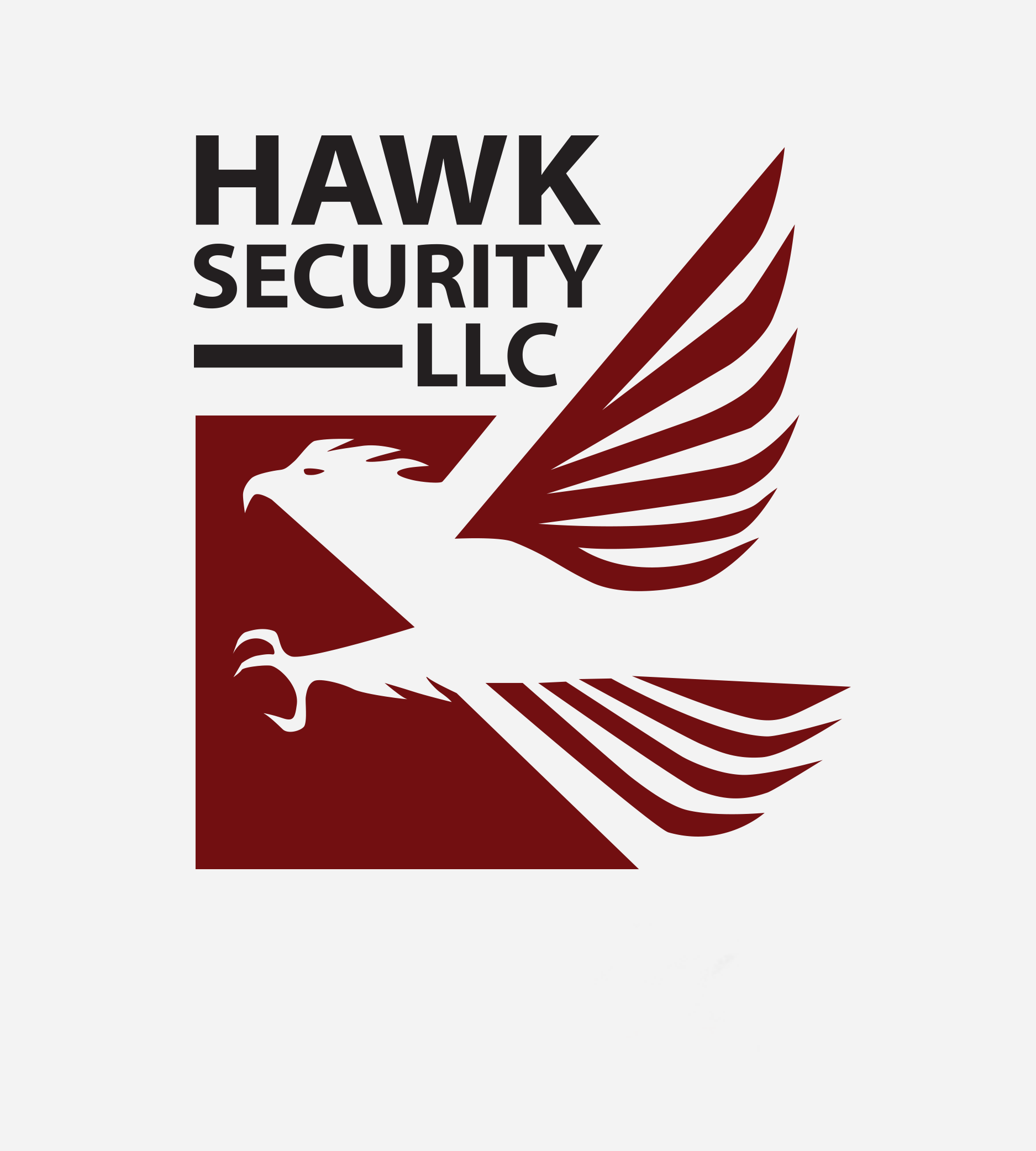 Hawk Security, LLC