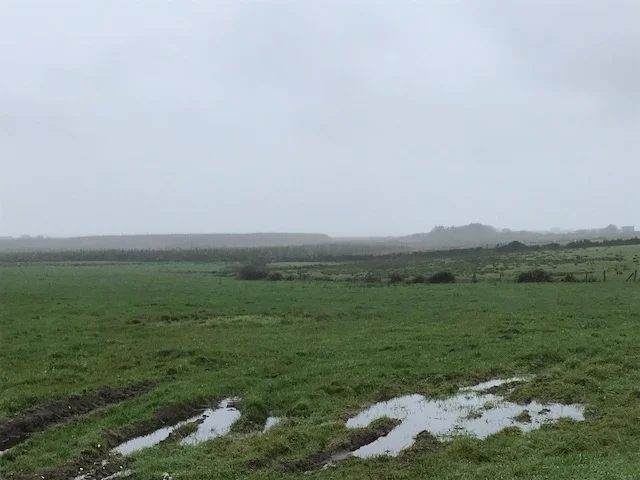 I landed here and starting painting an oil sketch. (right below) What I thought was a mountain through the distant fog became the sea when the fog and mist lifted. You can feel the blue of the sky before you can see it.