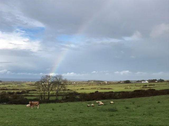 OK - since I started this rainbow a day thing….let’s see how long this lasts. This is driving back over to Ballycastle ( village in distance.)