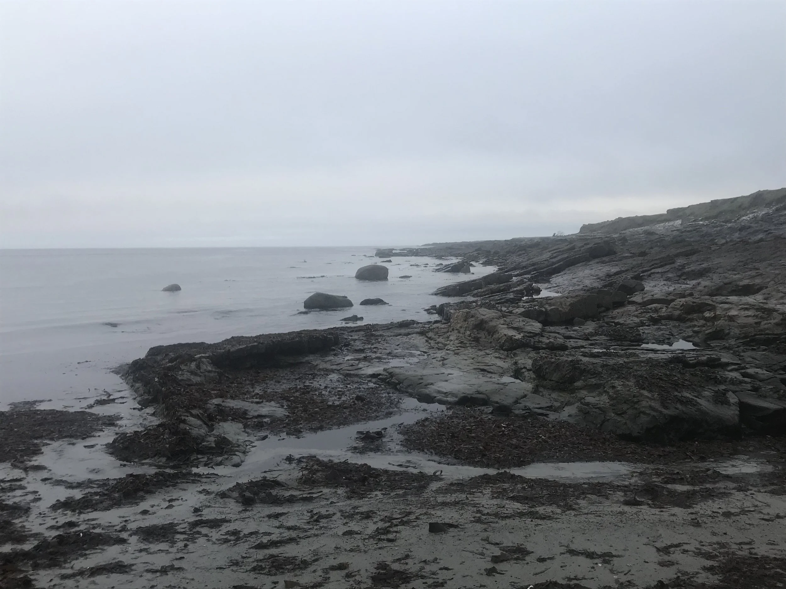 IMG_6066.jpeg