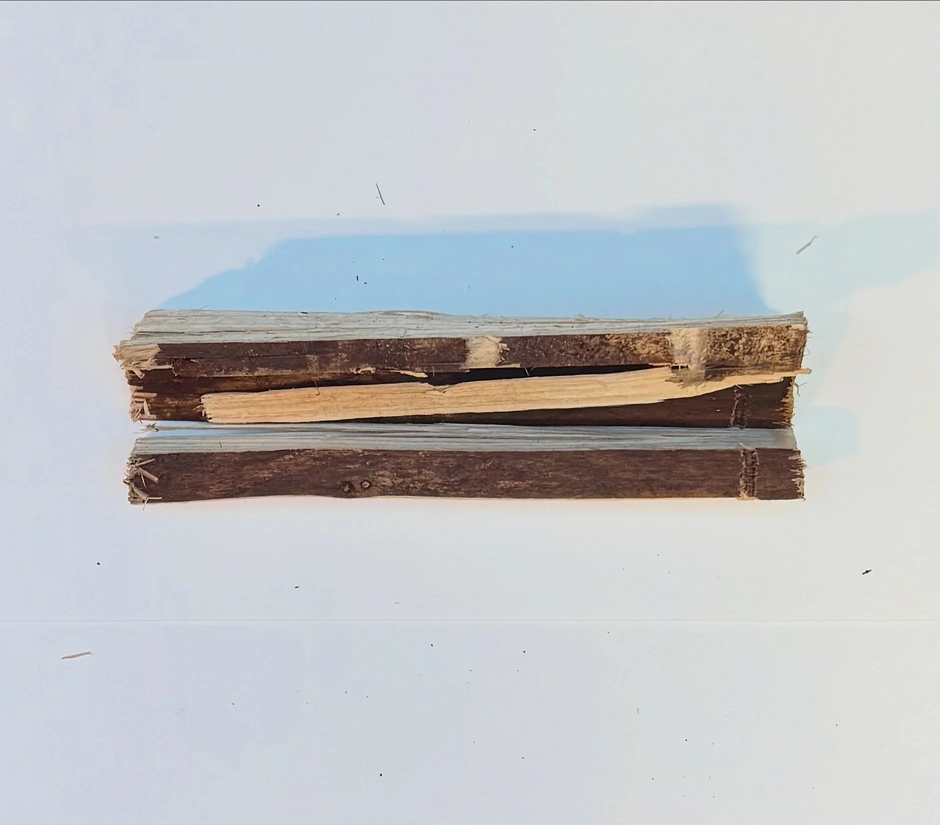 Laftan I / kindling / 2.5 x 6.5 x 1 inches
