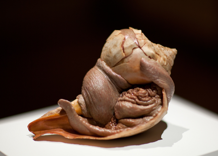 Scuttle, 2012