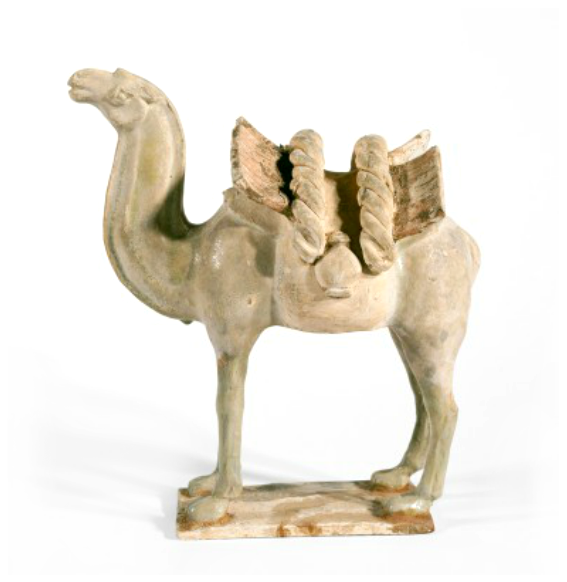 Standing Bactrian camel