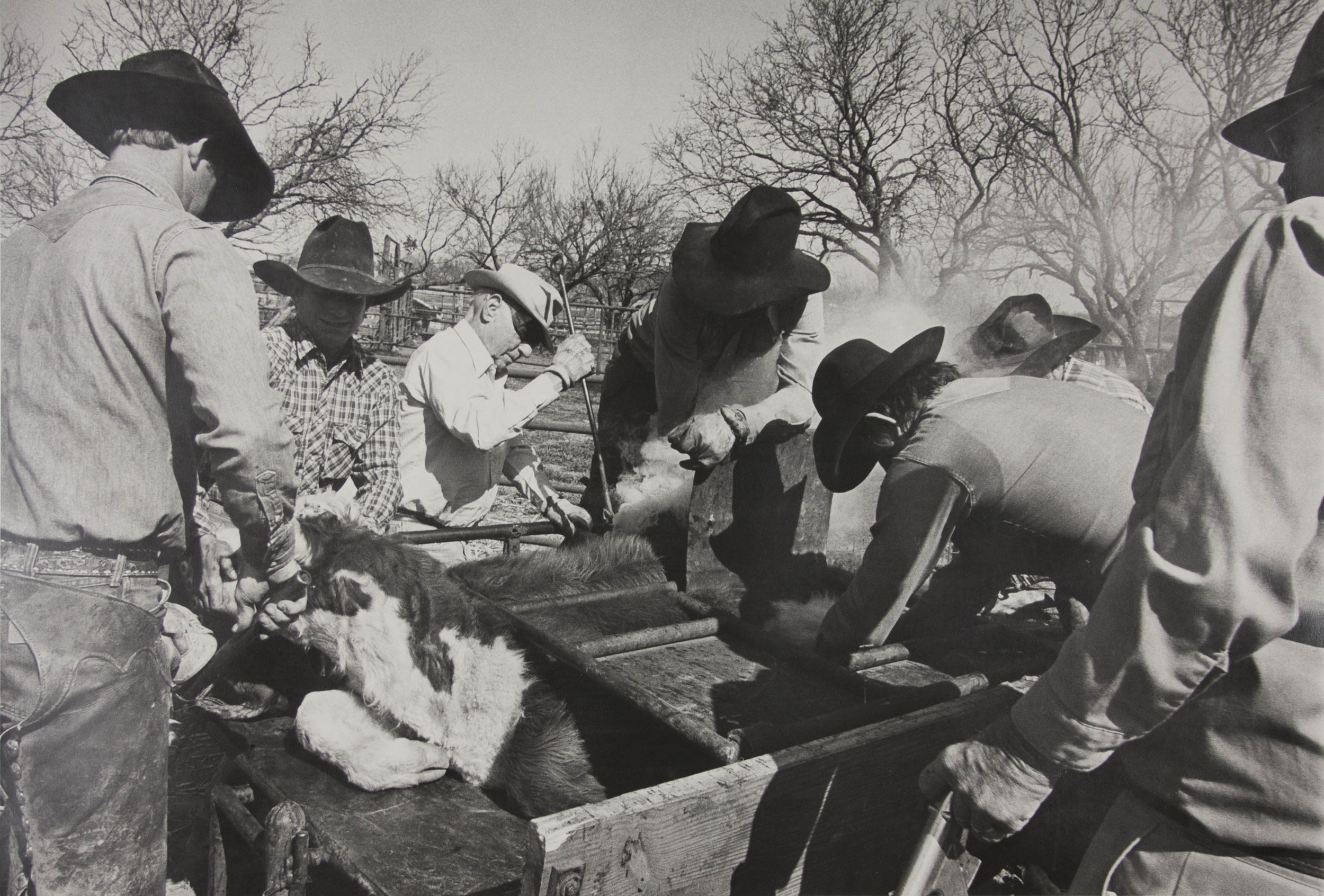 Watt Handles Branding Iron, c. 1986