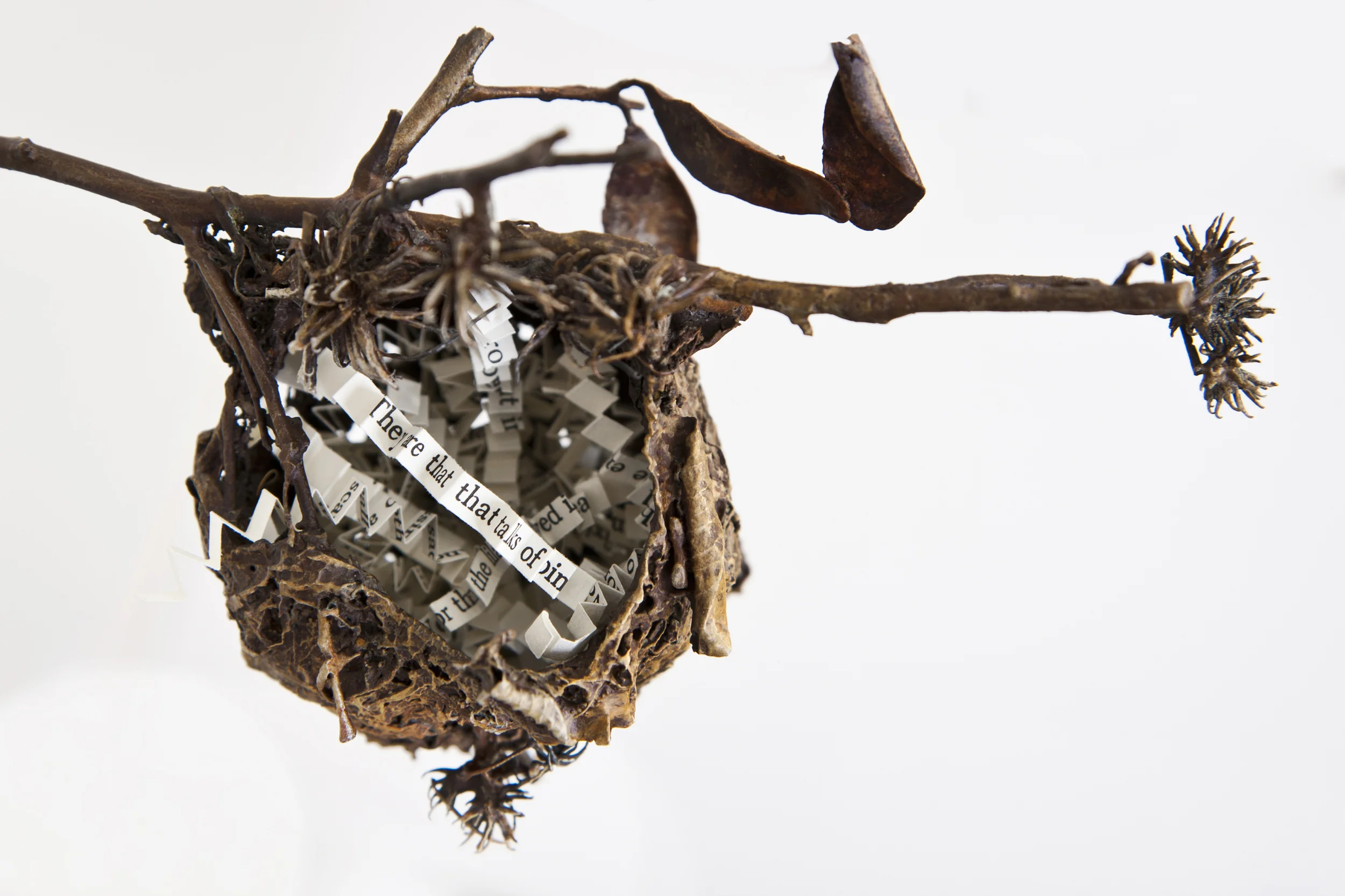 Linda Ridgway: The Sound of Trees