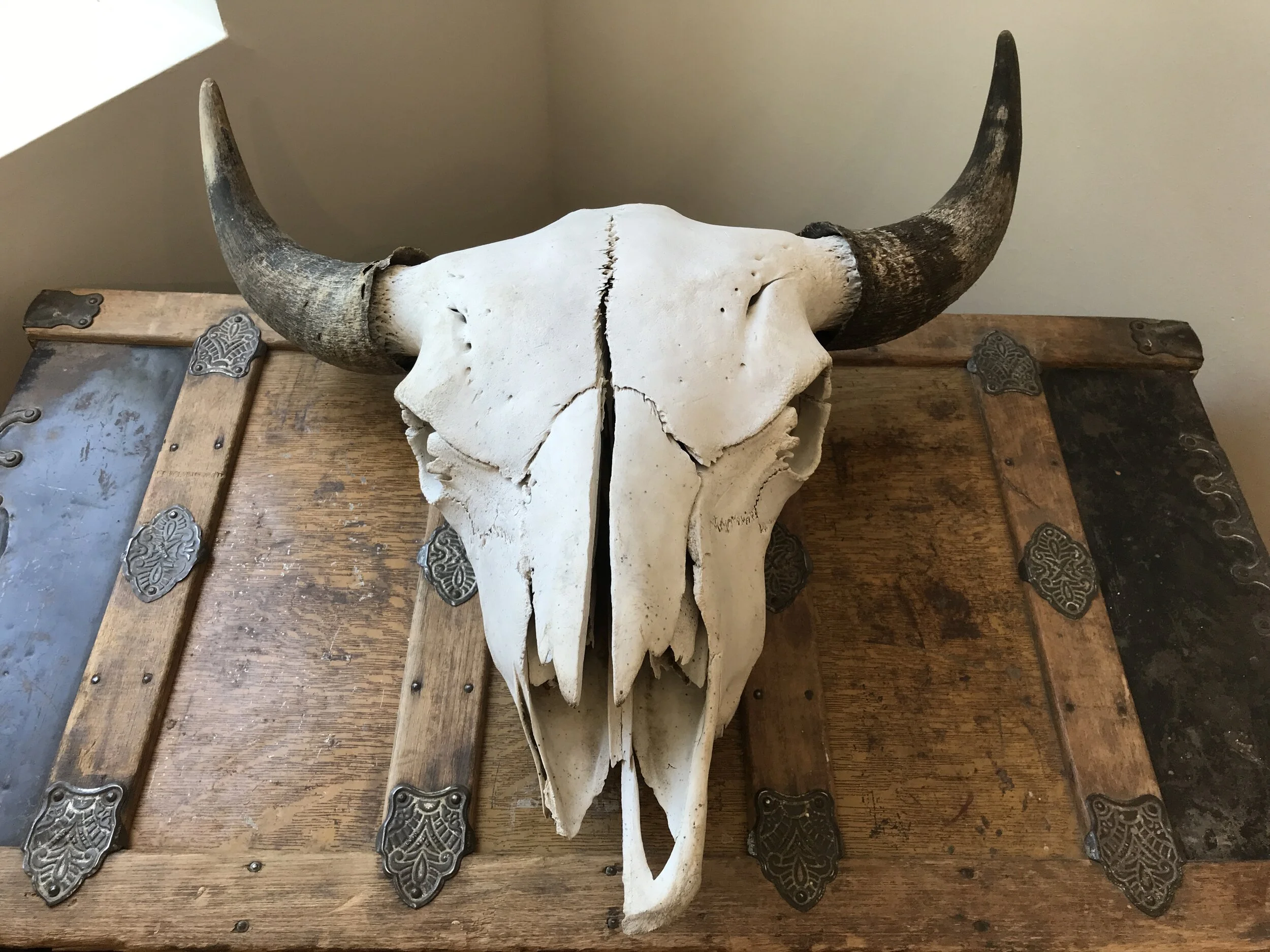 Retrospective: the American Buffalo