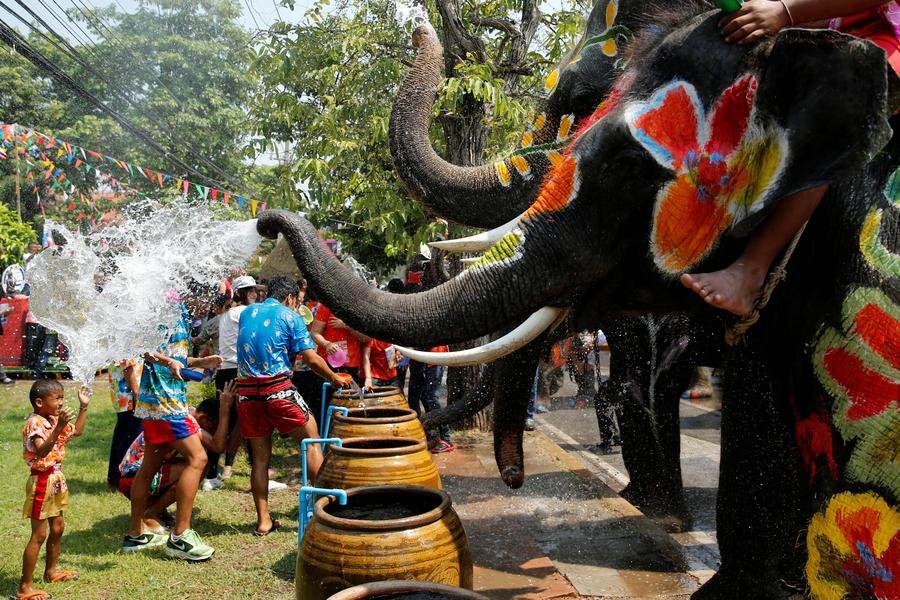 Songkran Elephant.jpg