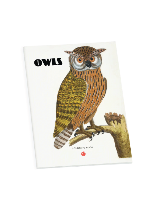 Owls Coloring Book