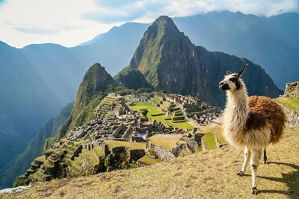 Cultural Connections Camp: Peru! 10am-3pm