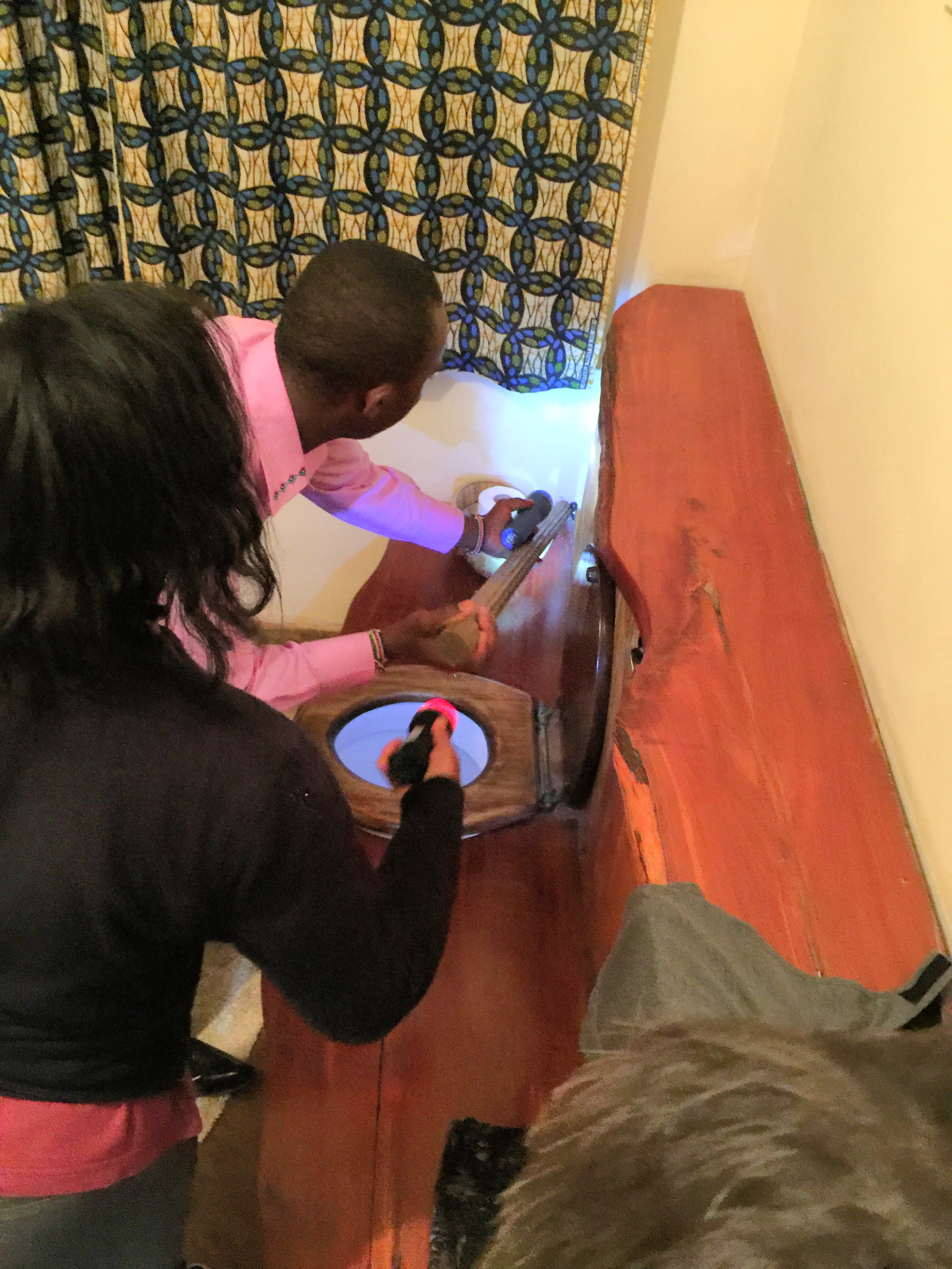 The Lewa Lodge staff pushing the snake back down the hole it came from. 