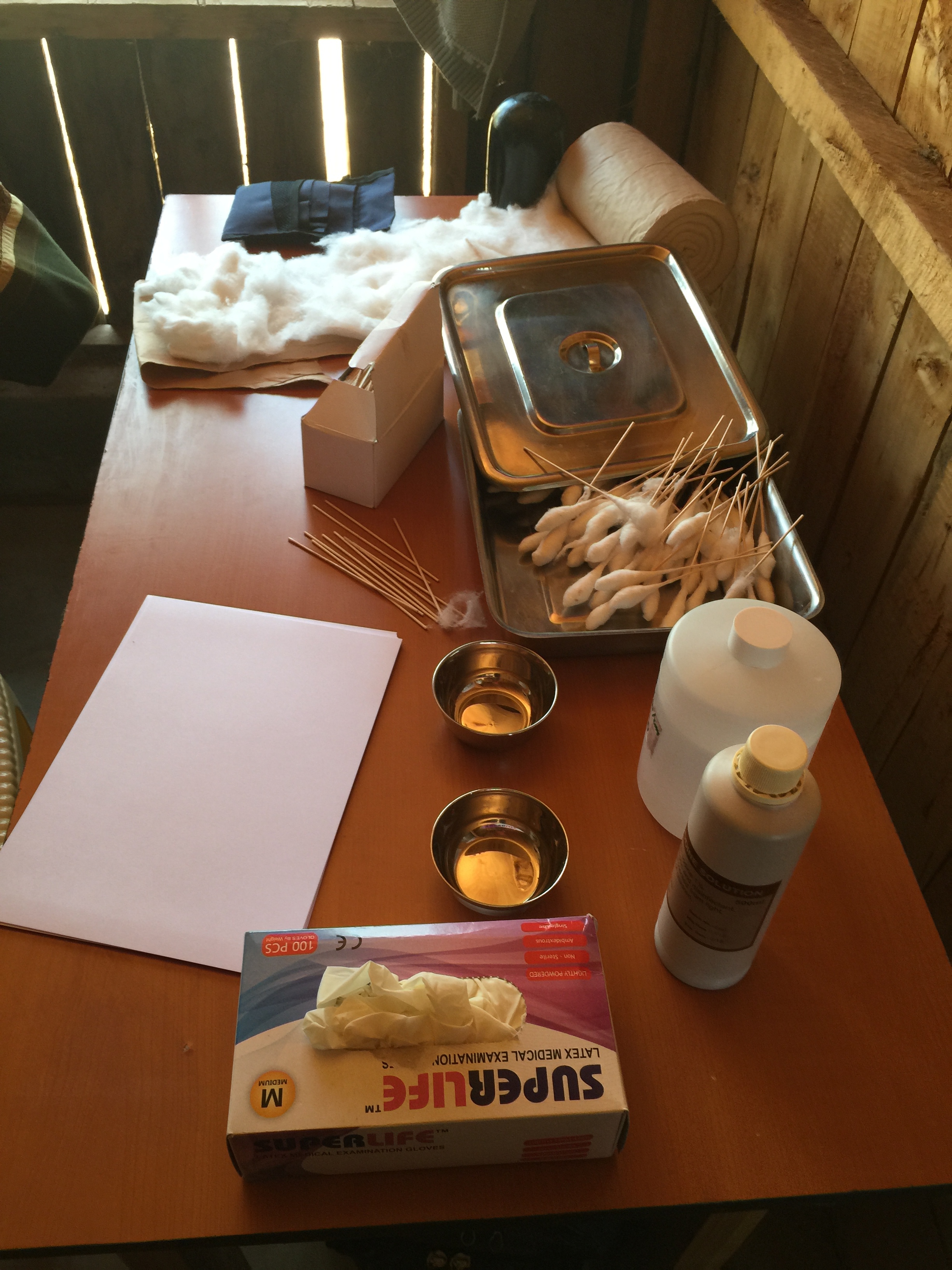 Supplies for the cervical cancer screening including homemade cotton swabs and household vinegar. 
