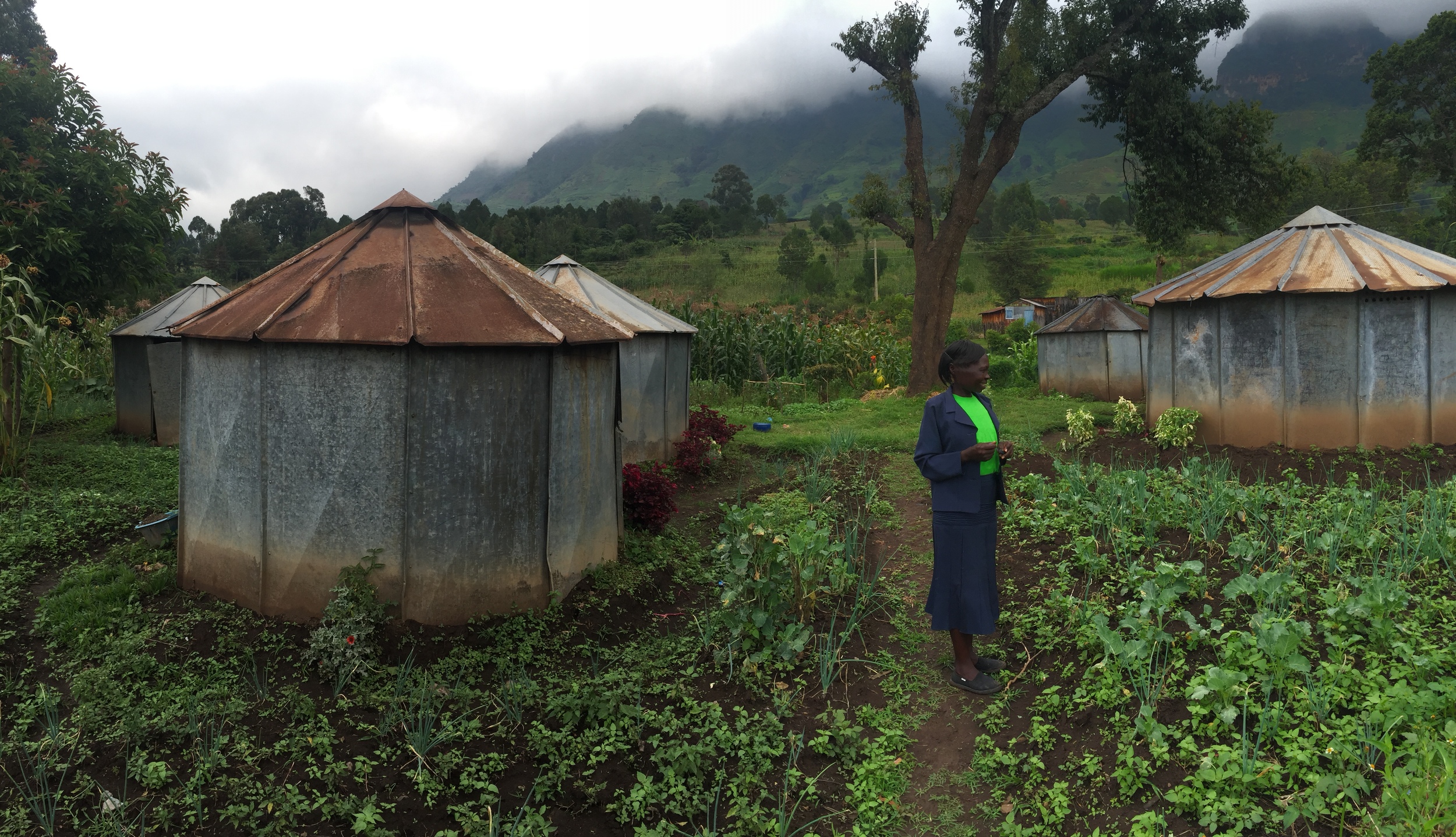 Helen showing me her home and garden. She lives in one and the other 4 remain empty