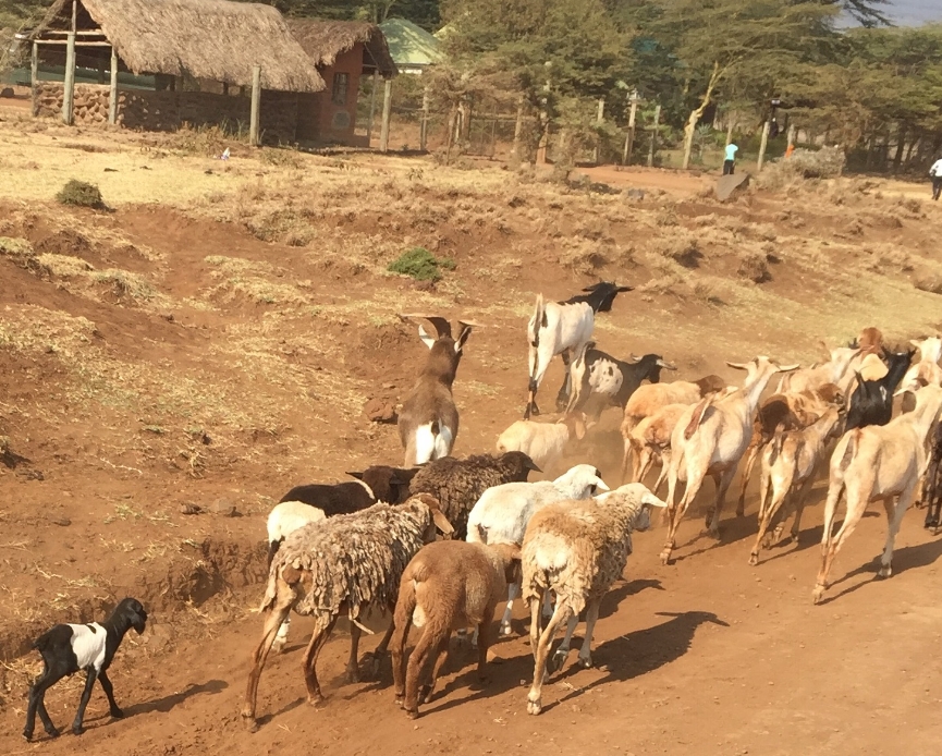 Rush hour during our daily commute