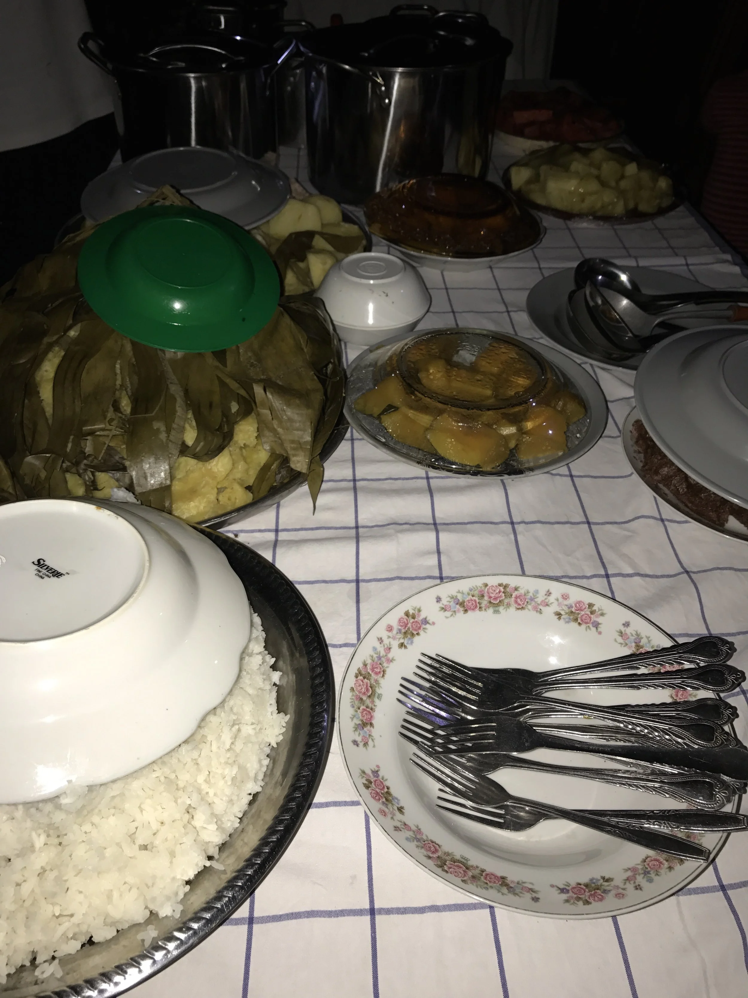 A small part of all of the delicious dishes we were served!