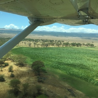 Agriculture plays an important role in Kenya's economy, followed by tourism
