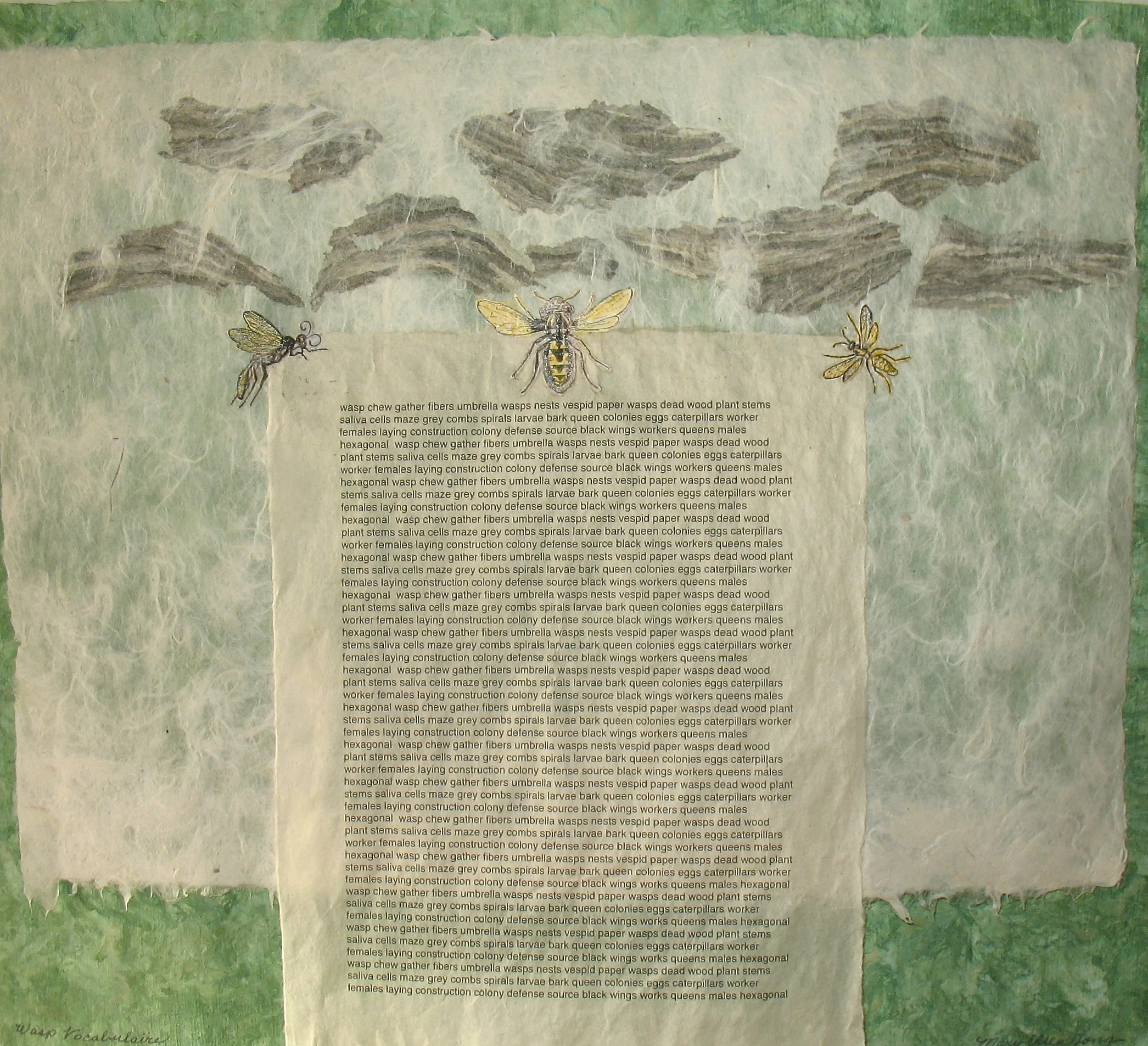 Wasp Vocab.JPG