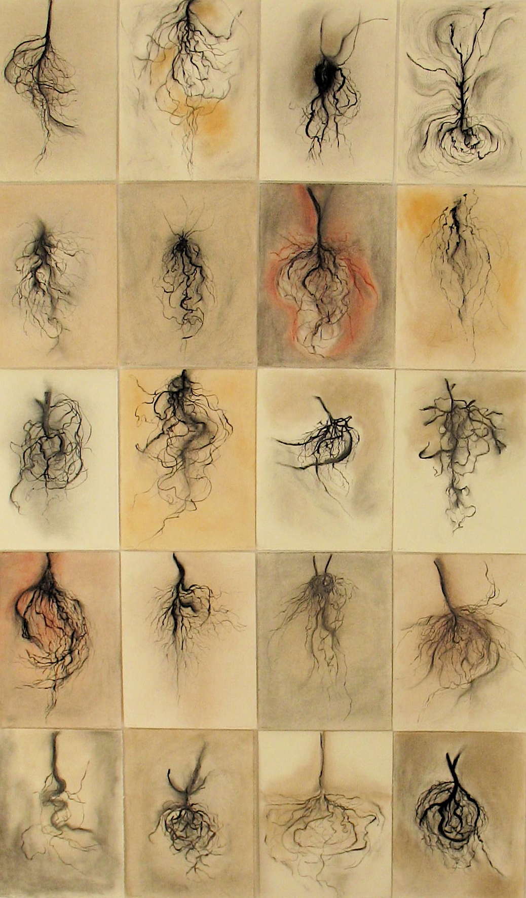 Roots