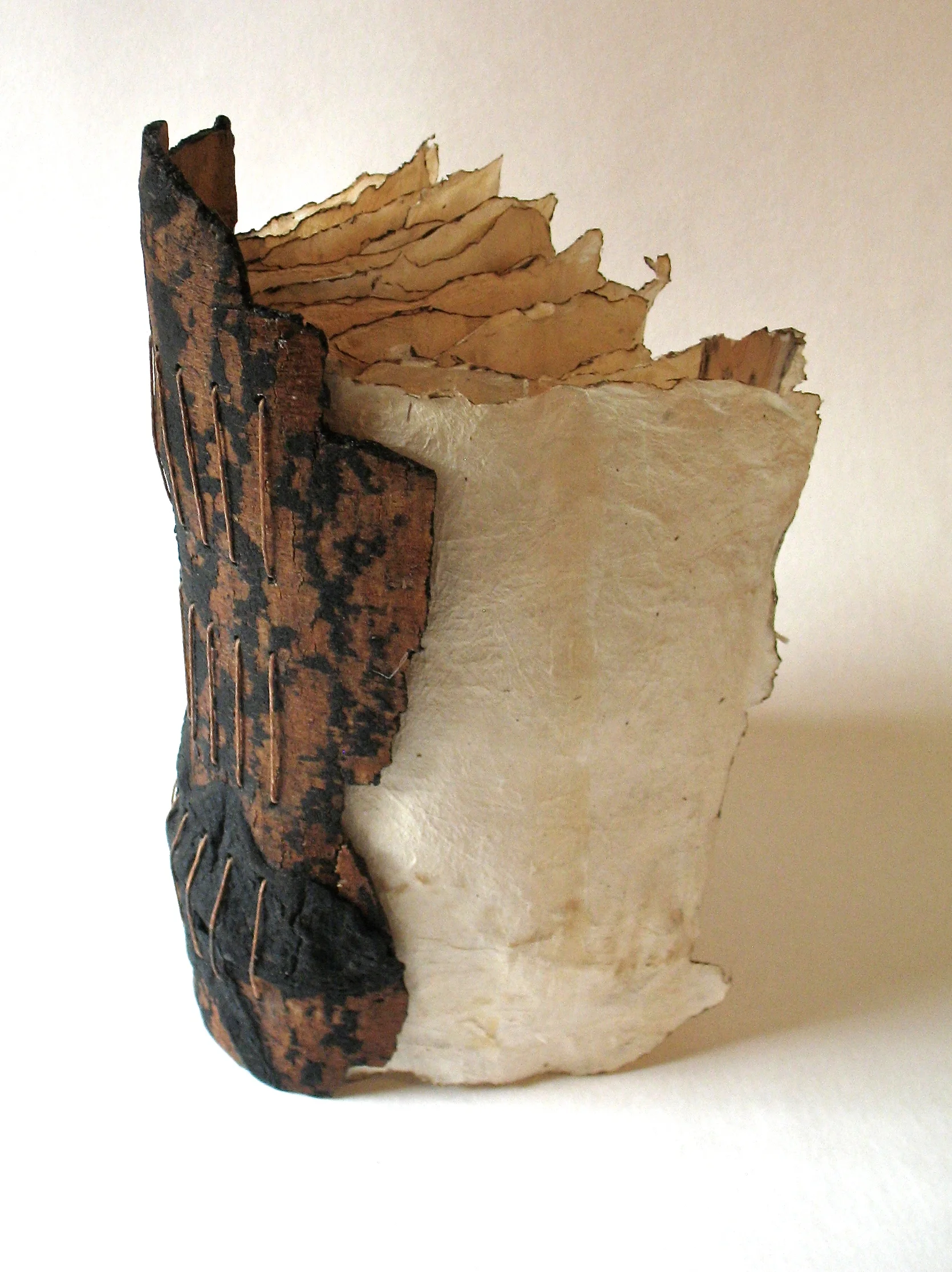 To Learn About the Pine
