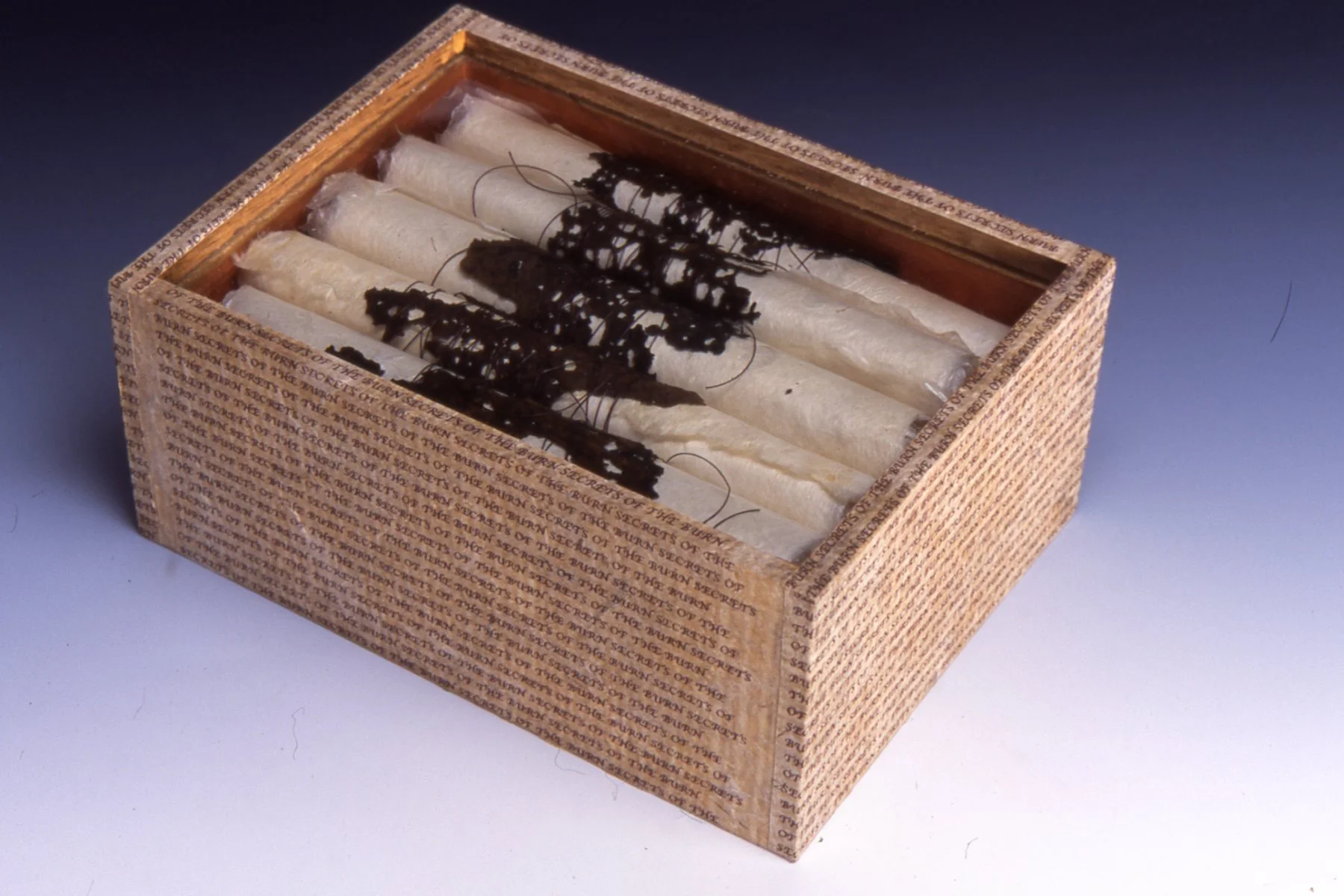 Secrets of the Burn, 2004