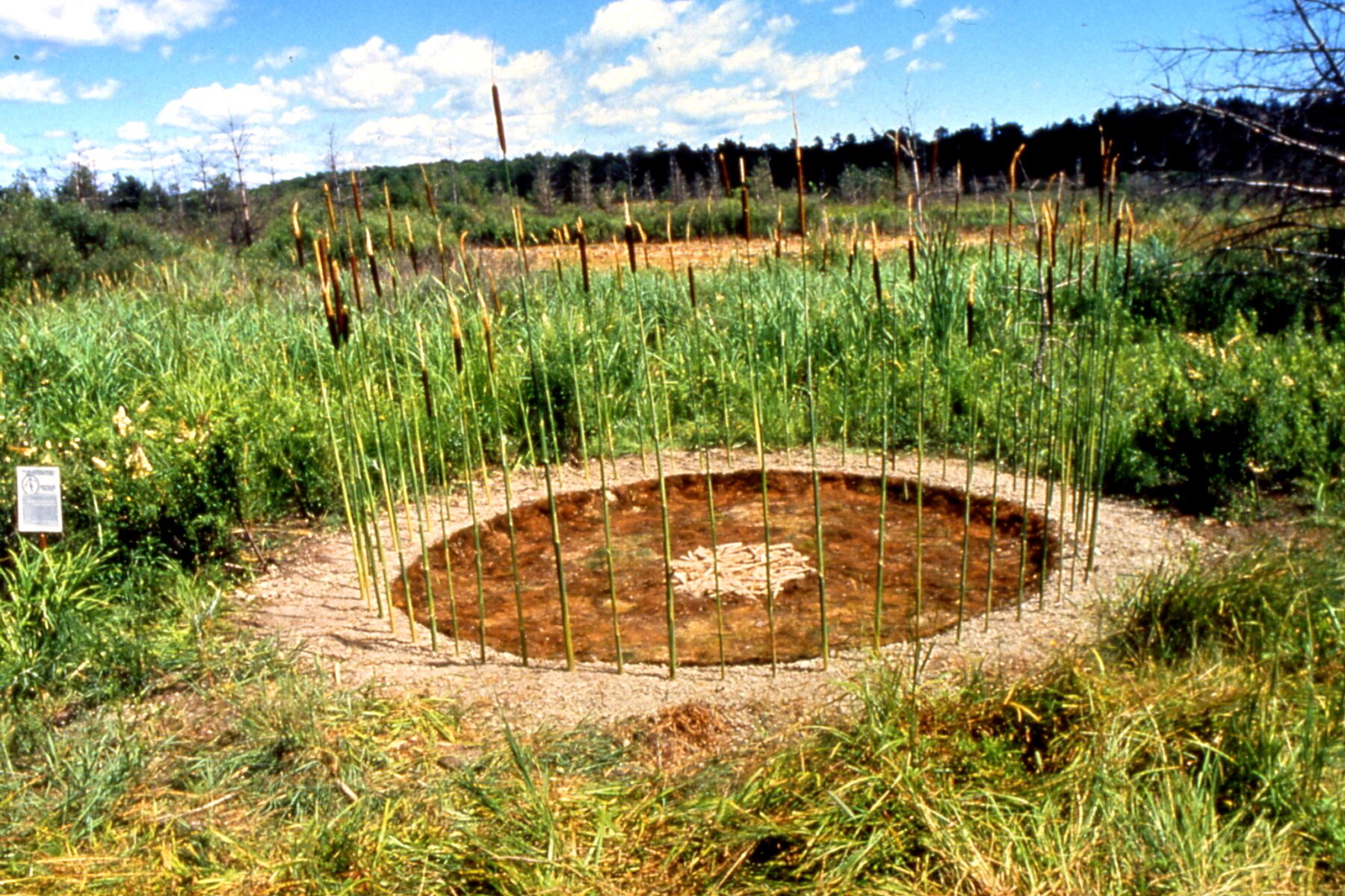 Seed Circle, 1993