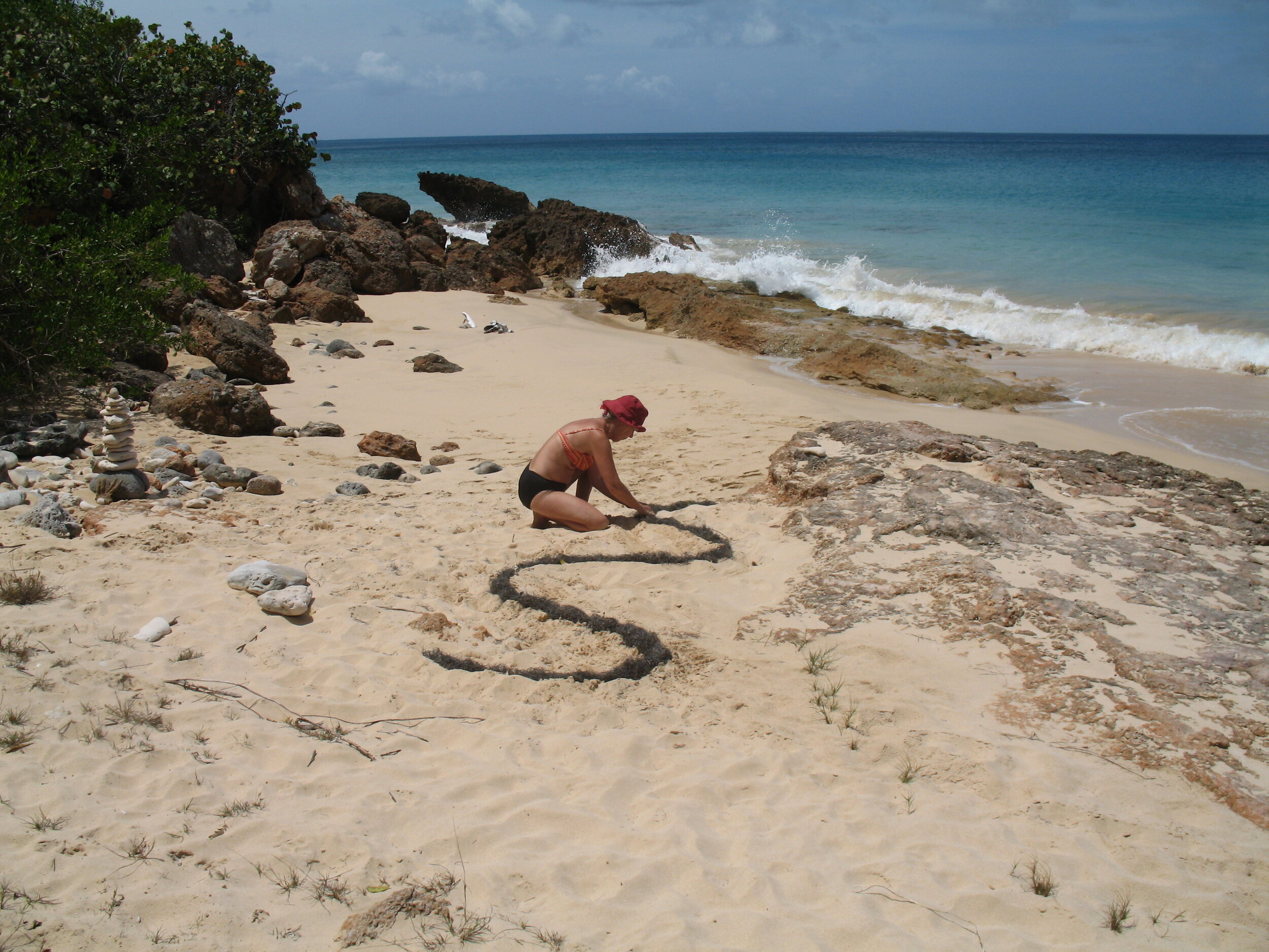 Beach Serpent, 2006