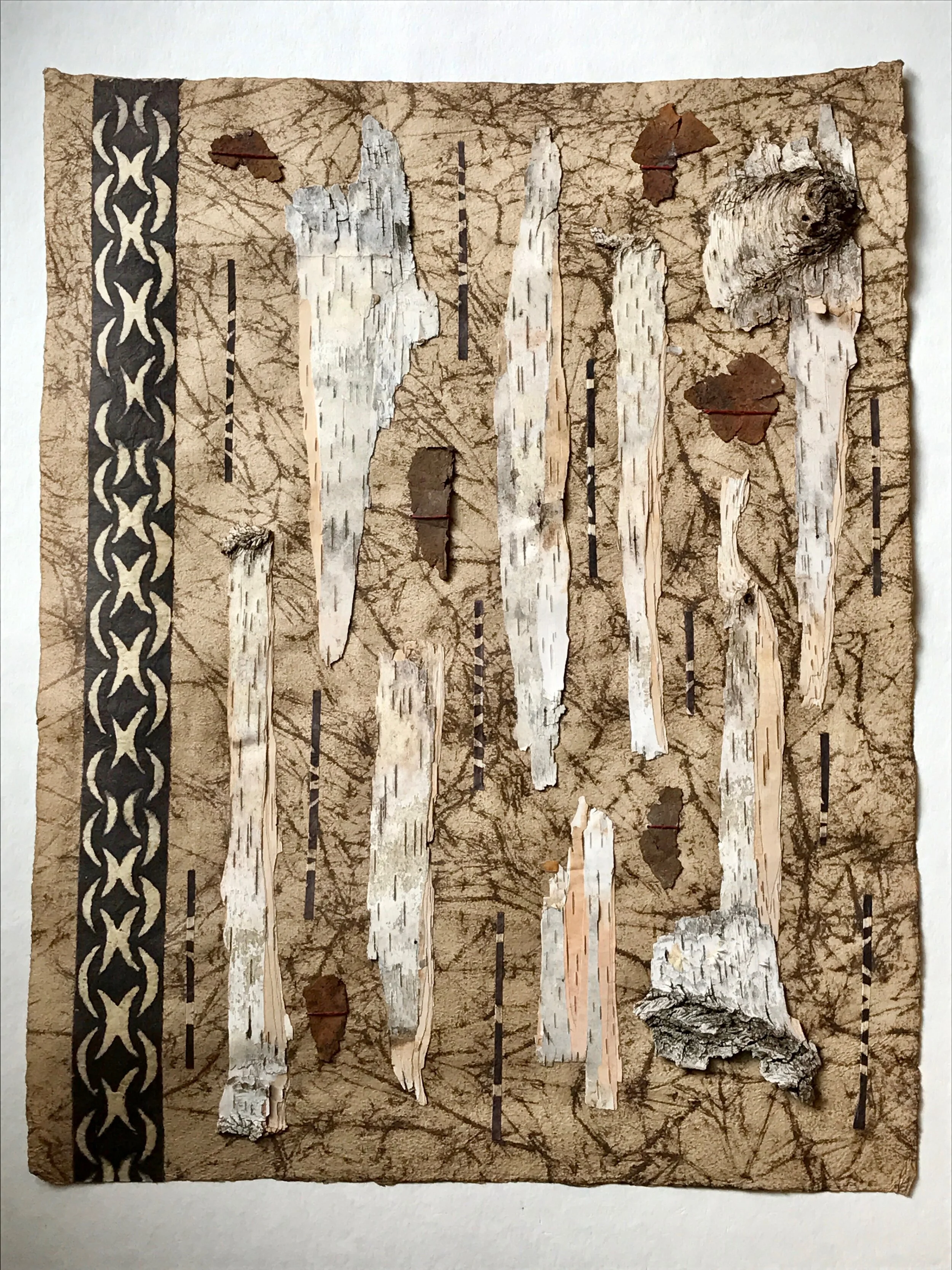 Birch.jpg