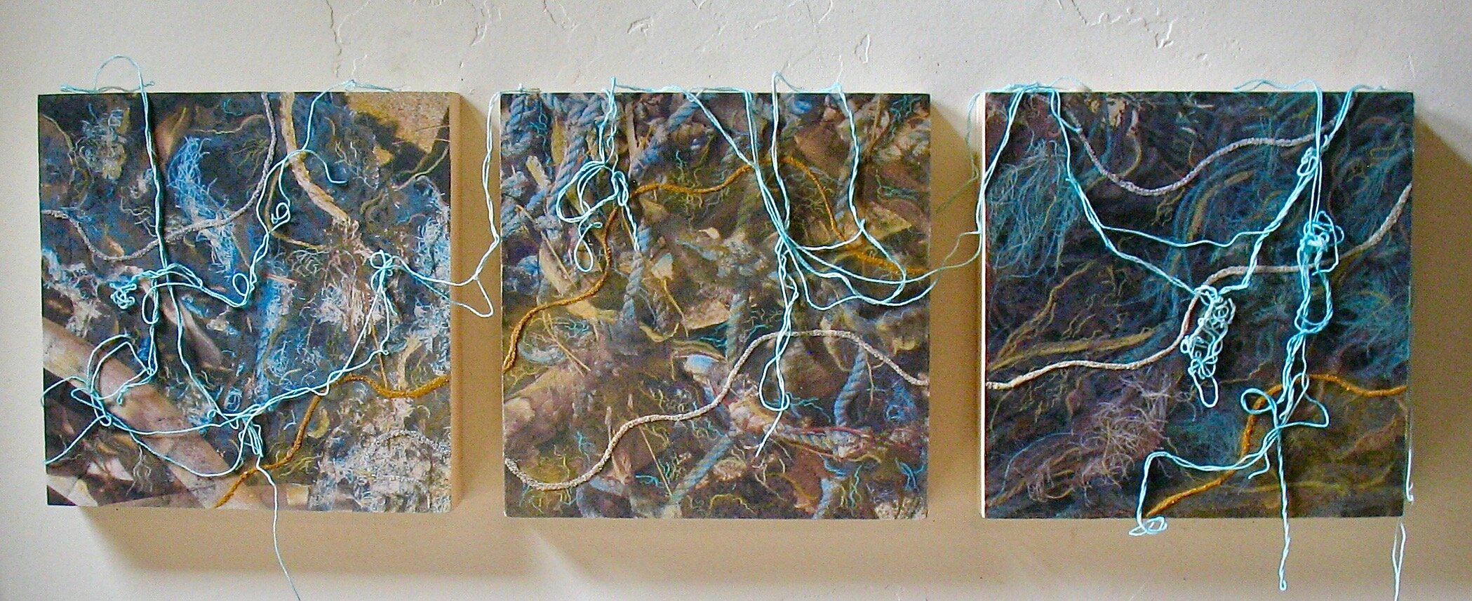 Molokai Tangle pg.jpg