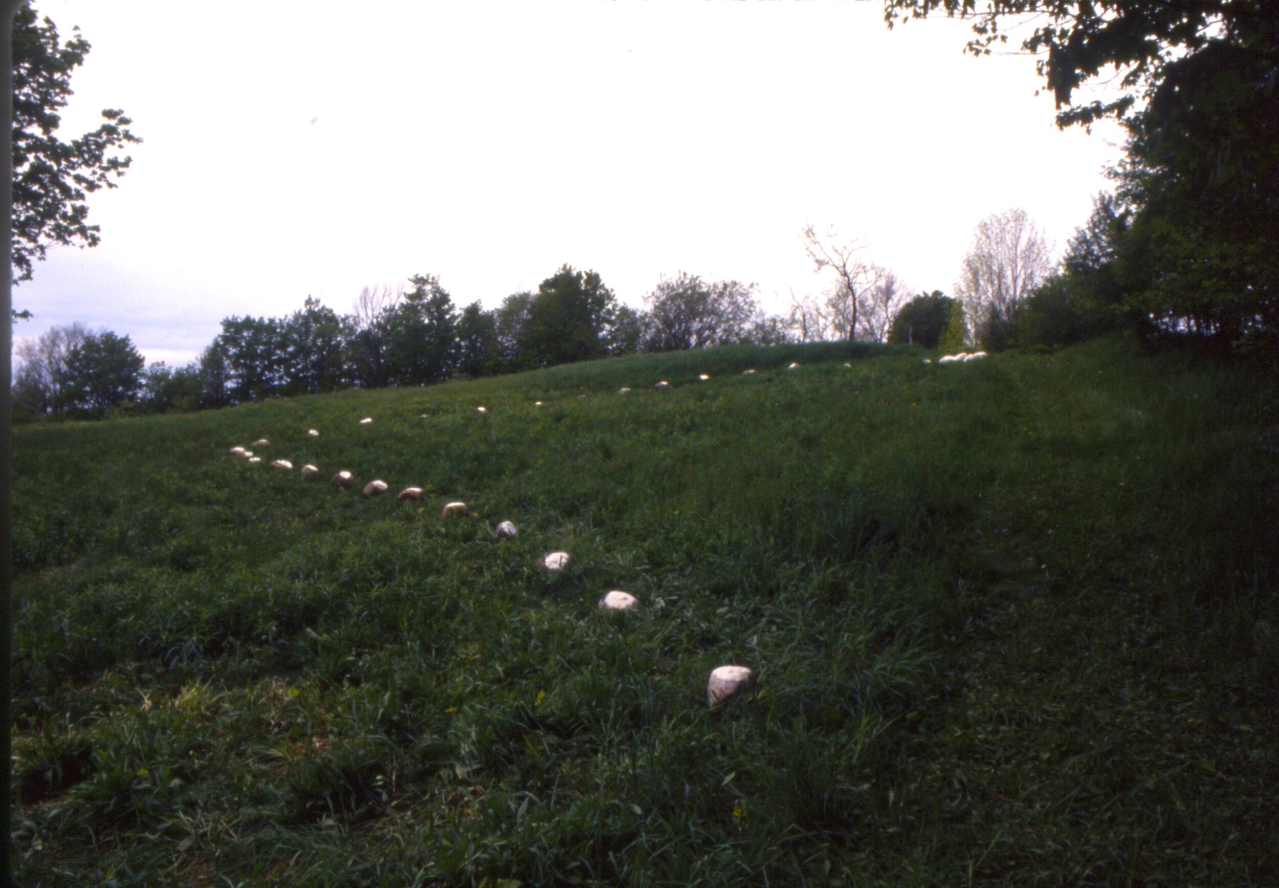 Paper Stone Path, 1994