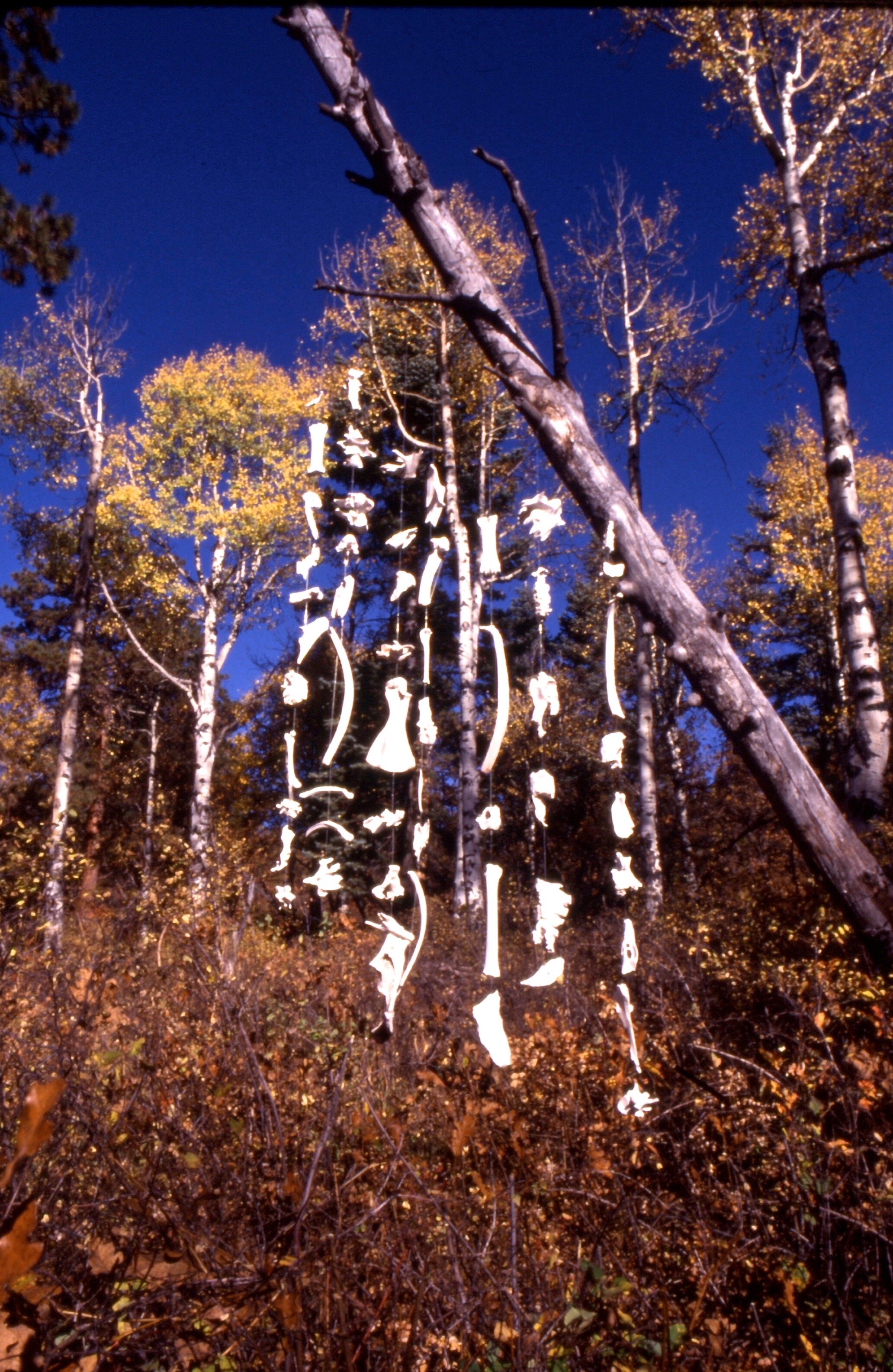 Bone Curtain, Clearview, CO, 1990's