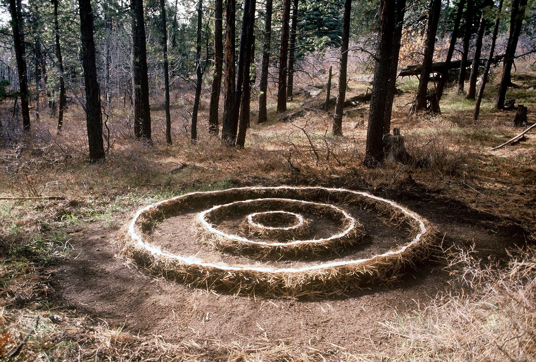 Concentric Circles, 1990's