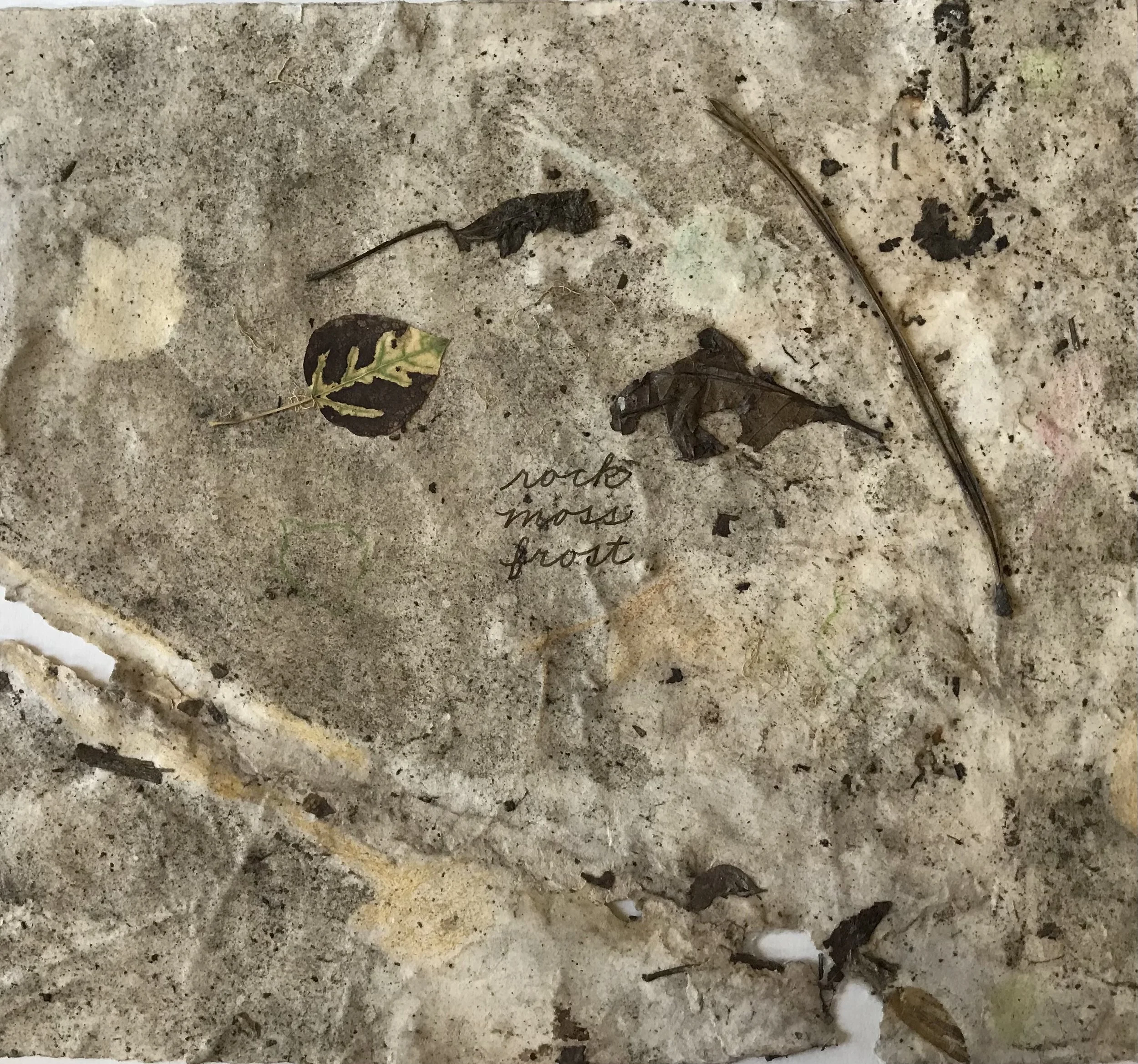 rock moss, frost.jpeg