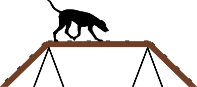 SS-Agility_69955324.jpg
