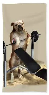 bull dog on bench press.jpg