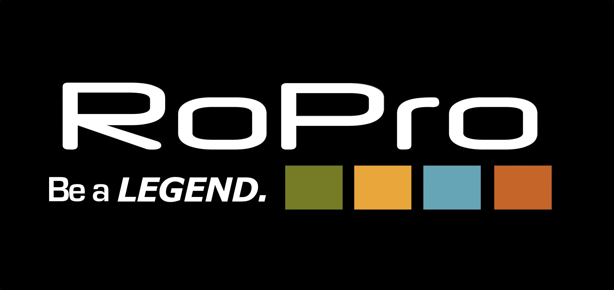RoPro spoof - warm colors.jpg
