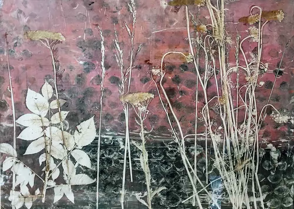 Dusky Stems