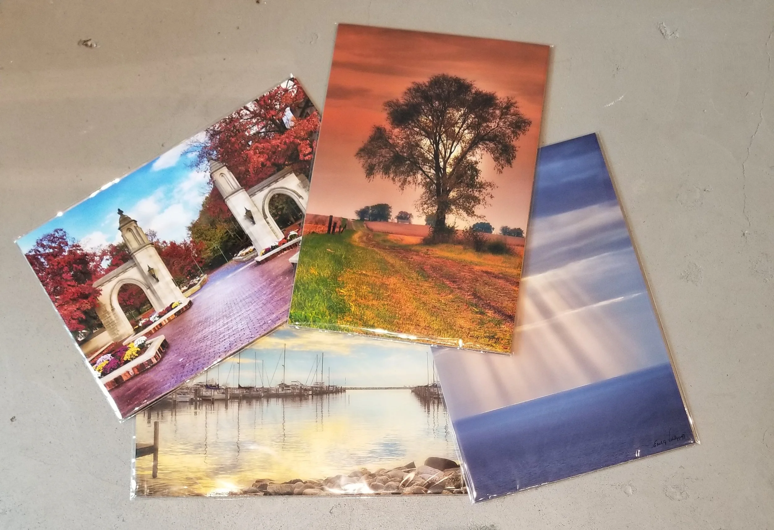 Assorted Earl Vandygriff Paper Prints